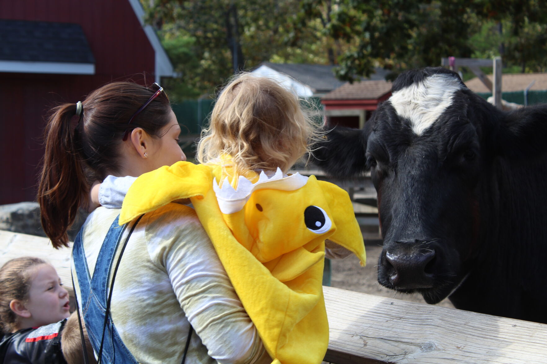 Boo at the Zoo_6645.JPG